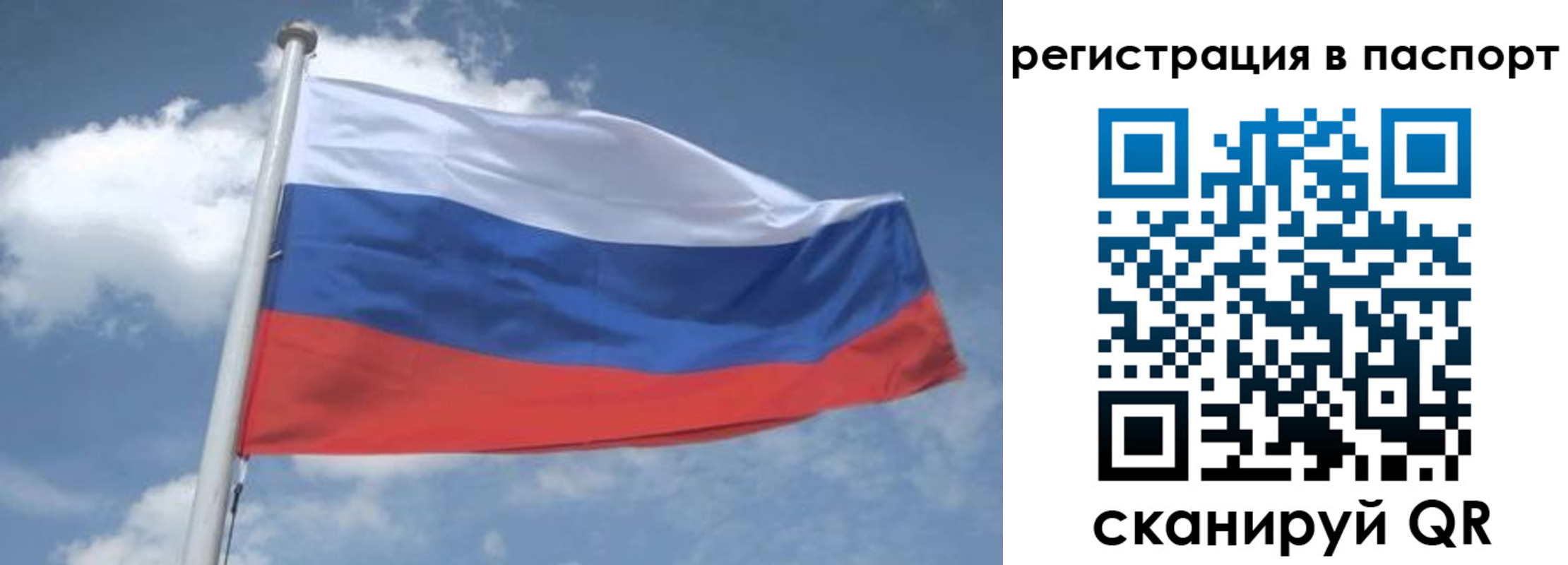 временная регистрация надежно в Порхове